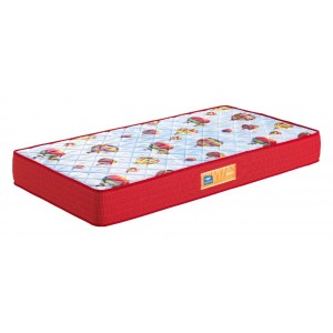 Junior - Lusocolch&atilde;o